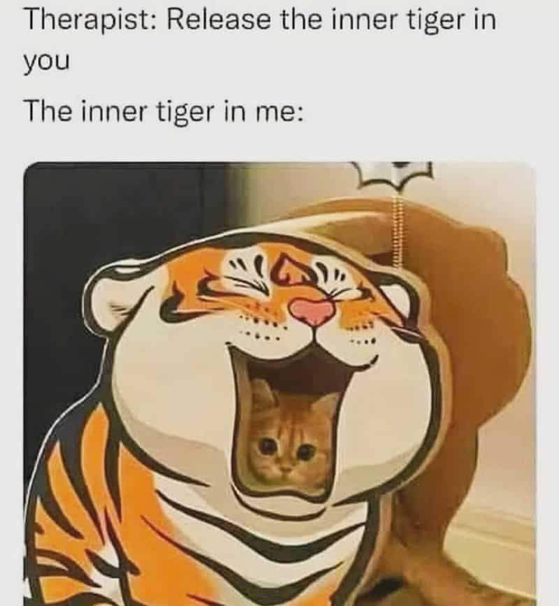 orange cat memes, cat memes, ginger cat memes, cat memes, funny cat memes, viral cat memes, group chat memes, Garfield memes, orange tabby, feline chaos, trending cat memes, ginger kitty, cat owner jokes, pet memes, animal memes, cat personality, zoomies memes, nap king, cat chaos, cute cat memes, cartoon cat memes