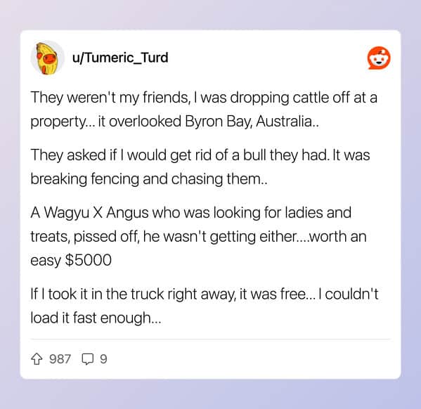 Story about getting a free $5000 bull from a rich Australian landowner