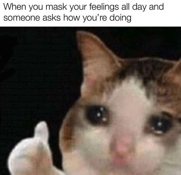 Blurry crying cat giving a thumbs-up with the caption about masking emotions all day