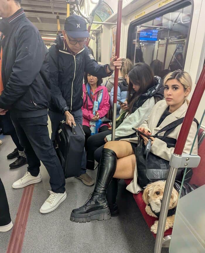 Woman with dog on subway seat.