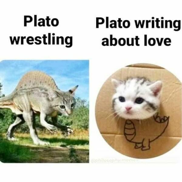 philosophy memes, philosophical memes, philosopher jokes, metaphysics memes, epistemology memes, ethics memes, logic memes, absurdism memes, Camus memes, Kant memes, Plato memes, Nietzsche memes, Socrates memes, brain teaser memes, academic memes, wisdom memes, intellectual memes, humor memes, meme dump
