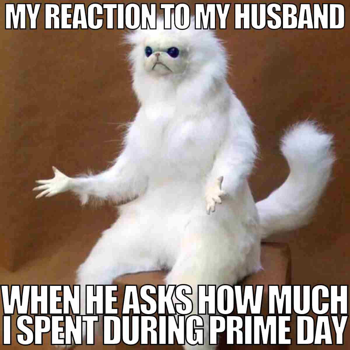 prime day meme, amazon prime memes, Amazon Prime Day, Prime Day deals, shopping memes, Amazon memes, deal memes, sale memes, flash sale memes, shopping holiday memes, coupon memes, checkout memes, online shopping memes, retail memes, discount memes, sale fail memes, meme dump, bargain memes, discount humor, shopping fails, sale hunters memes