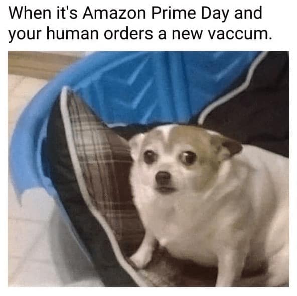 prime day meme, amazon prime memes, Amazon Prime Day, Prime Day deals, shopping memes, Amazon memes, deal memes, sale memes, flash sale memes, shopping holiday memes, coupon memes, checkout memes, online shopping memes, retail memes, discount memes, sale fail memes, meme dump, bargain memes, discount humor, shopping fails, sale hunters memes