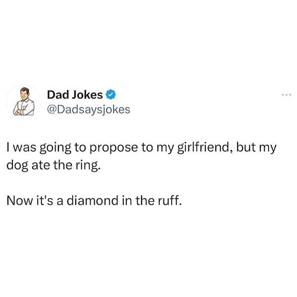 pun memes, funny puns, wordplay memes, punny memes, cringey memes, punny jokes, silly humor, pun captions, eye-roll memes, punny memes, meme collection, relatable memes, hilarious memes, groan-worthy humor, language jokes