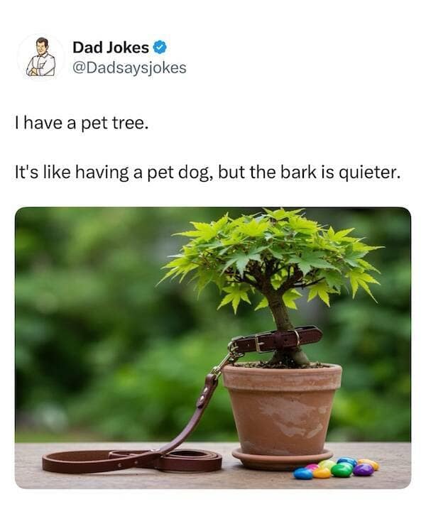 pun memes, funny puns, wordplay memes, punny memes, cringey memes, punny jokes, silly humor, pun captions, eye-roll memes, punny memes, meme collection, relatable memes, hilarious memes, groan-worthy humor, language jokes