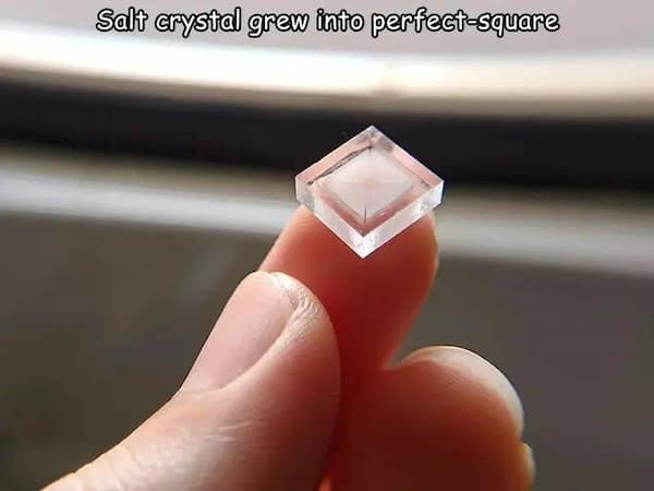 A satisfying photo showing a perfectly square salt crystal held delicately between two fingers, highlighting the fascinating symmetry of nature.
