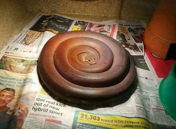 satisfying photos, soothing pictures, oddly satisfying, satisfying images, visual satisfaction, soothing pictures, relaxing visuals, calming images, perfect pattern memes, aesthetic snaps, zen images, neatness memes, harmony photos, visual therapy, satisfying clips, satisfying videos, eye candy images, serene snapshots, soothing scroll, mood-boosting visuals, smooth visuals, satisfying pictures