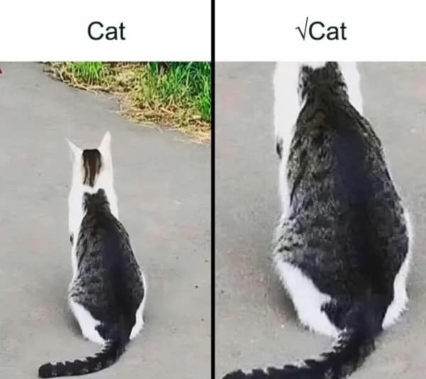 science memes, nerd memes, physics memes, chemistry memes, biology memes, nerd memes, lab humor, geeky memes, STEM memes, molecular memes, quantum memes, periodic table memes, calculus memes, coding memes, environmental