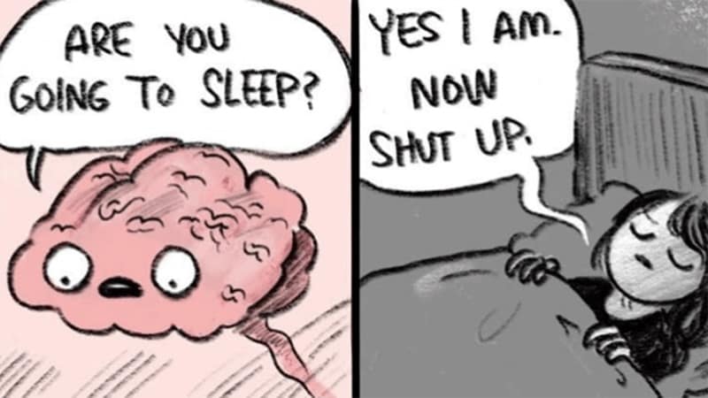 sleeping meme, sleep memes, sleepy memes, tired memes, nap memes, yawn memes, tired humor, drowsy memes, bedtime memes, couch nap memes, desk nap memes, animal sleeping memes, insomnia memes, dream memes, lazy day memes, weekend nap memes, bedtime routine memes, coffee vs sleep memes, afternoon slump memes, pillow memes