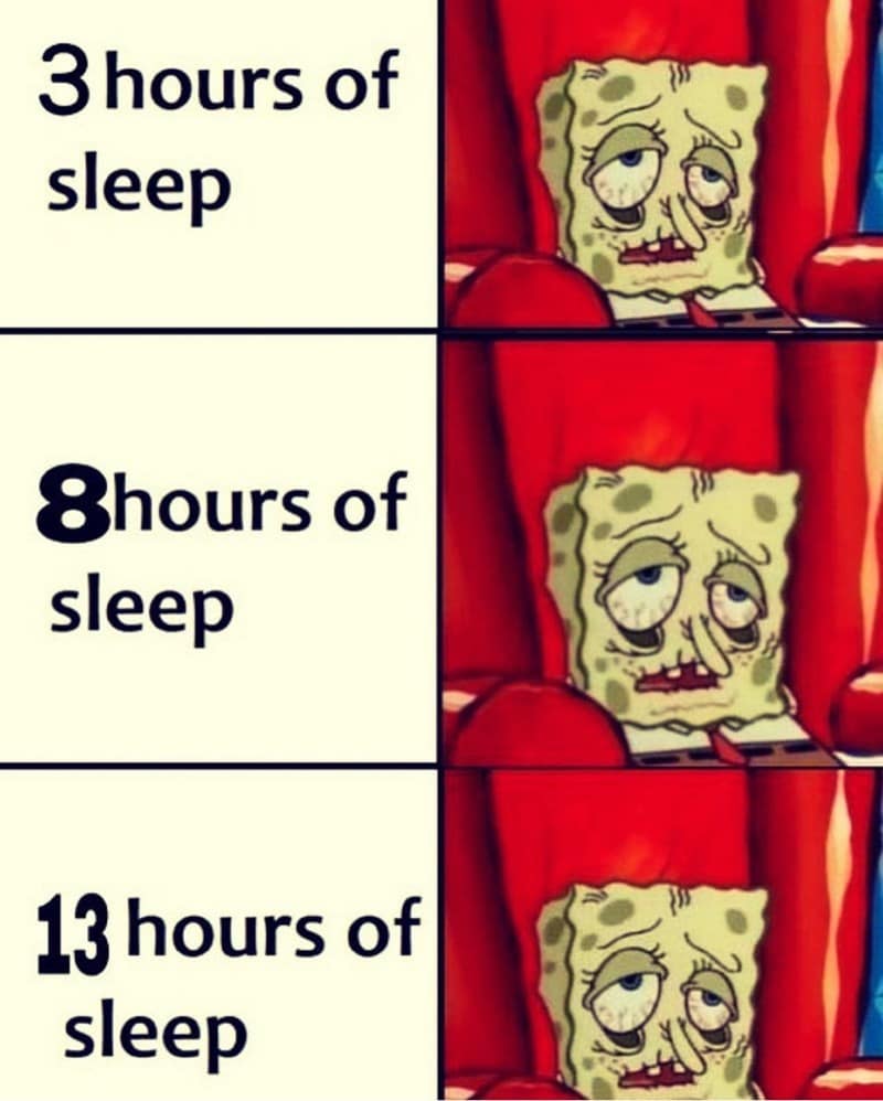 sleeping meme, sleep memes, sleepy memes, tired memes, nap memes, yawn memes, tired humor, drowsy memes, bedtime memes, couch nap memes, desk nap memes, animal sleeping memes, insomnia memes, dream memes, lazy day memes, weekend nap memes, bedtime routine memes, coffee vs sleep memes, afternoon slump memes, pillow memes