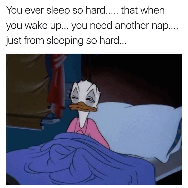 sleeping meme, sleep memes, sleepy memes, tired memes, nap memes, yawn memes, tired humor, drowsy memes, bedtime memes, couch nap memes, desk nap memes, animal sleeping memes, insomnia memes, dream memes, lazy day memes, weekend nap memes, bedtime routine memes, coffee vs sleep memes, afternoon slump memes, pillow memes