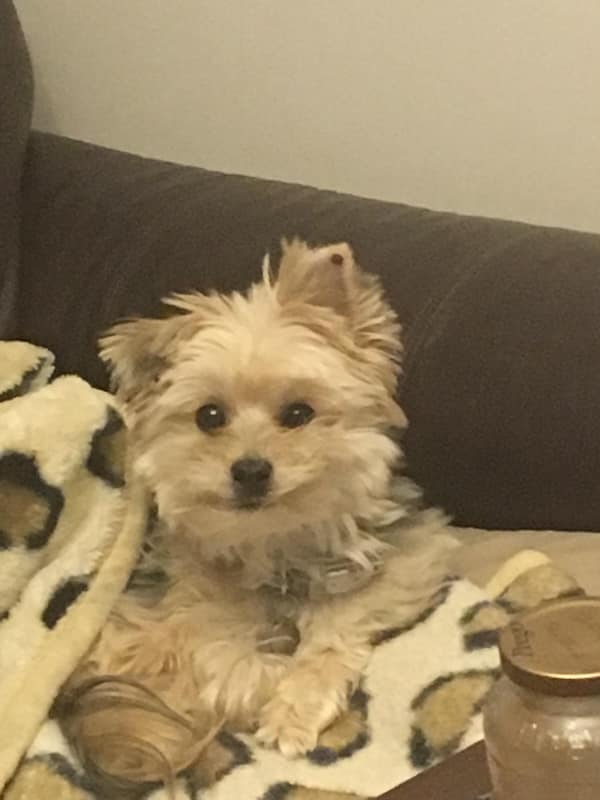 sleepy animals, grumpy animals, cute animals, funny animal pictures, baby animal pictures, sleepy pet memes, animal yawns, cozy animals, drowsy animals, cute pet photos, relaxation memes, nap time animals, sloth memes, kitten pictures, puppy memes, pet memes, adorable animals, sleepy pet pictures, restful memes, nap memes