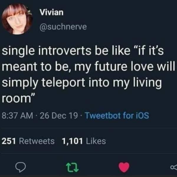 single introverts be like "if it's meant to be, my future love will simply teleport into my living room"