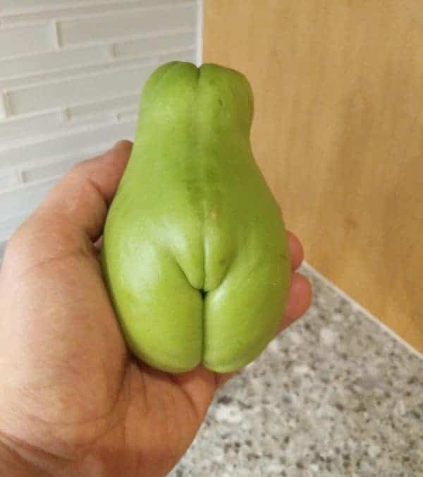 Green vegetable shaped like a human butt.