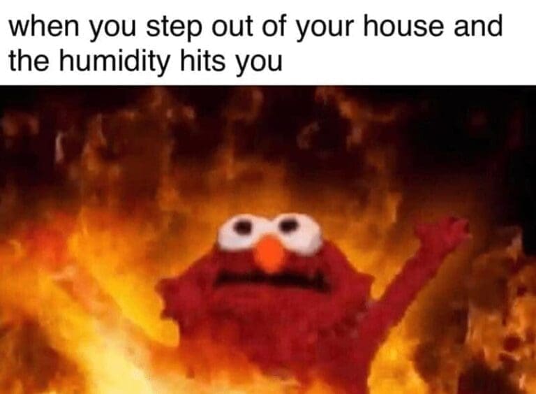 27 Summer Memes to Beat the Humidity Blues