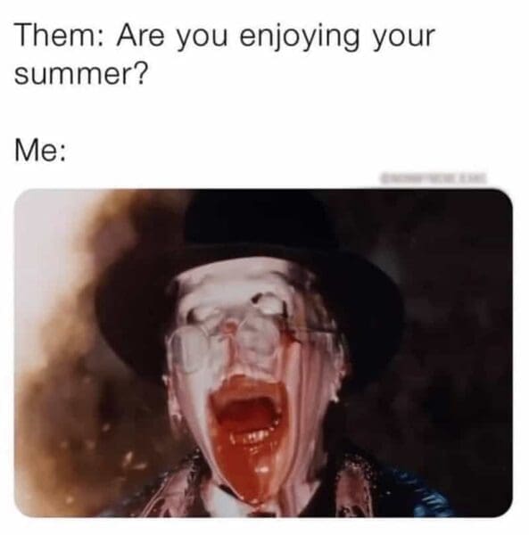 27 Summer Memes to Beat the Humidity Blues