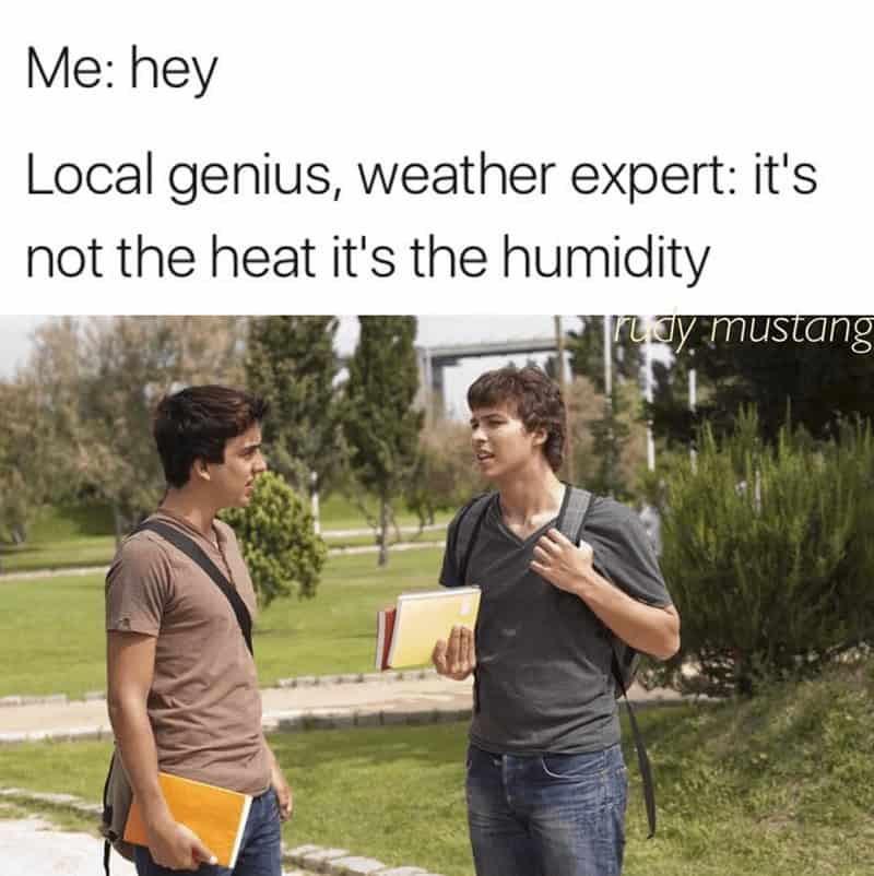 summer memes, humidity memes, heat wave memes, hot weather memes, beach memes, pool day memes, sunburn memes, dog days memes, AC meme, ice cream memes, sweltering memes, sweat memes, air conditioning memes, sun hat memes, summer style memes, summer survival memes, outdoor memes, sunstroke memes, sprinkler memes, lemonade memes