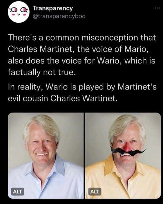There's a common misconception that Charles Martinet, the voice of Mario, also does the voice for Wario, which is factually not true. In reality, Wario is played by Martinet's evil cousin Charles Wartinet.