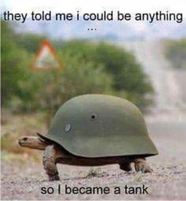 they told me i could be anything so I became a tank