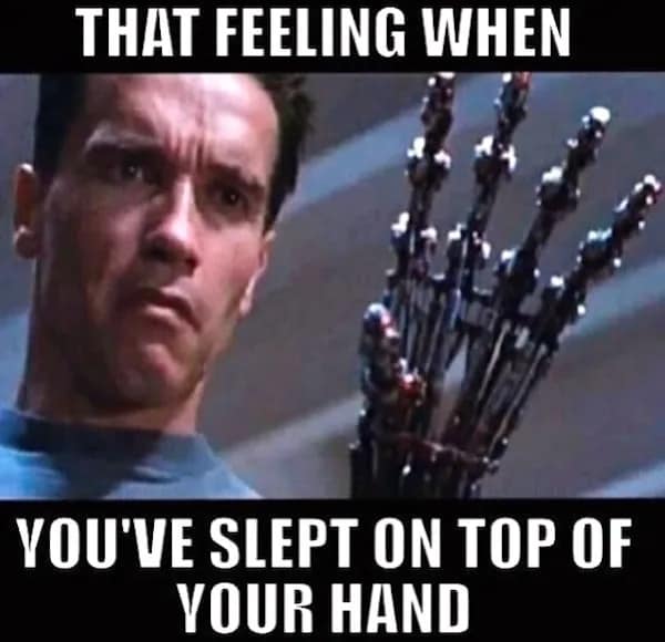 terminator meme, terminator memes, t2 memes, Arnold memes, cyborg memes, Skynet memes, Arnold Schwarzenegger memes, robot memes, apocalyptic memes, action movie memes, time travel memes, film meme dump, movie memes, franchise memes, killer robot memes, pop culture memes, cult movie memes, meme dump, cinematic memes, blockbuster memes