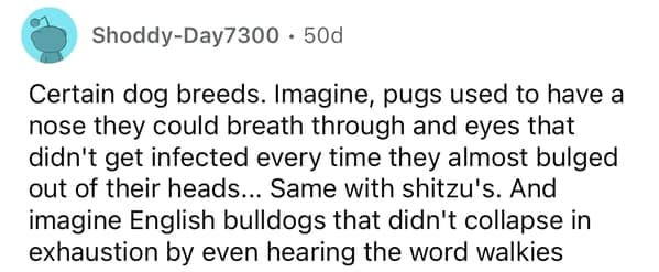 Redditor describes how dog breeds were healthier in the past