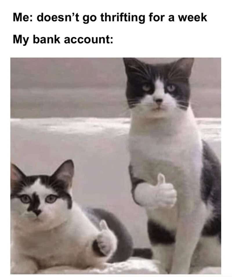 thrift store memes, thrifting memes, funny thrifting memes, vintage finds, thrift shopping, secondhand shopping, thrift humor, antique bins, funny thrift store pictures, meme dump, hilarious memes, vintage shopping, thrift store treasures, thrift fails, funny antique memes, vintage memes, thrifting tips, treasure hunting, retro finds, thrift adventures