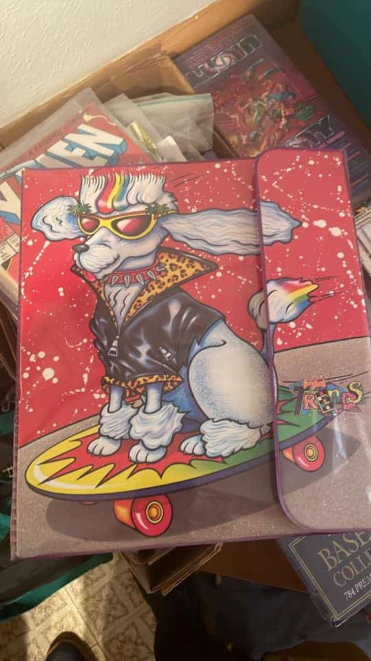 Vintage binder with punk rock poodle on skateboard