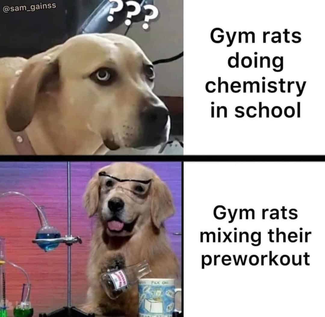 Gym rats doing chemistry in school Gym rats mixing their preworkout