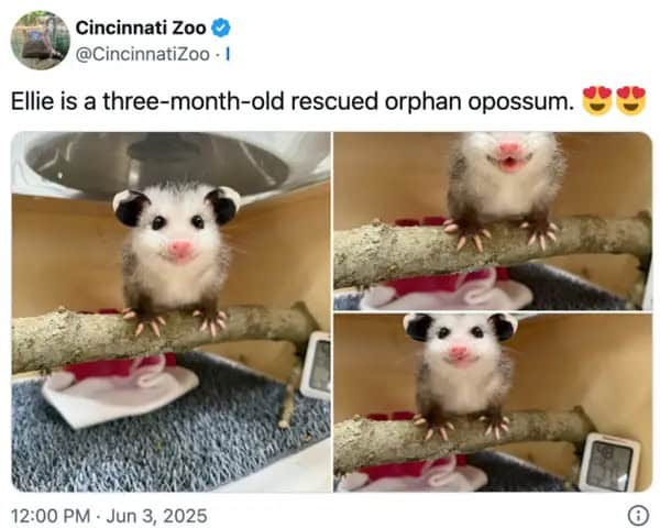 wholesome memes, heartwarming memes, uplifting memes, positivity memes, feel-good memes, encouraging images, good vibes, feel-good vibes, heartwarming posts, comforting humor, sunday scaries, weekend dread, back-to-work blues