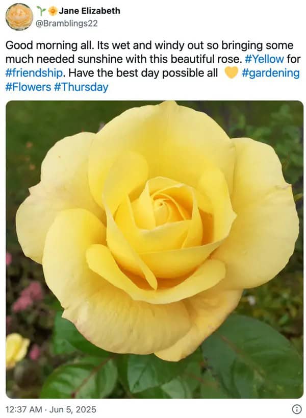 wholesome memes, heartwarming memes, uplifting memes, positivity memes, feel-good memes, encouraging images, good vibes, feel-good vibes, heartwarming posts, comforting humor, sunday scaries, weekend dread, back-to-work blues