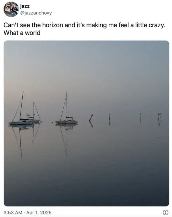 wholesome memes, heartwarming memes, uplifting memes, positivity memes, feel-good memes, encouraging images, good vibes, feel-good vibes, heartwarming posts, comforting humor, sunday scaries, weekend dread, back-to-work blues