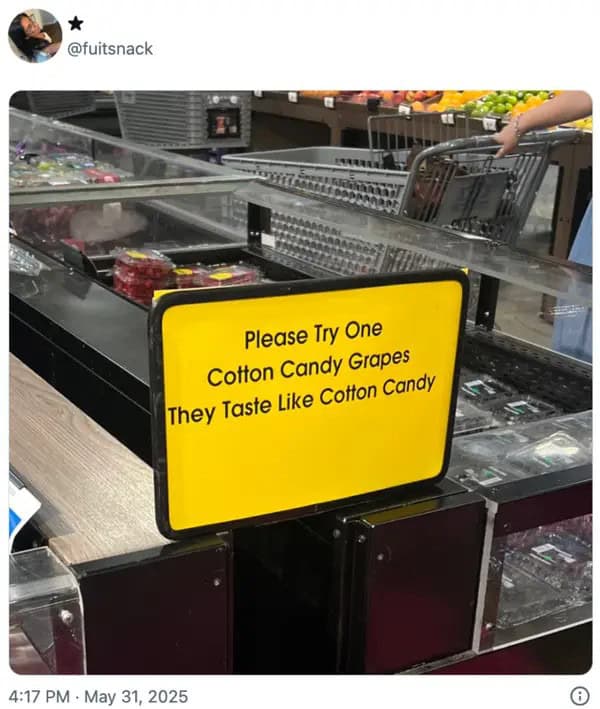 wholesome memes, heartwarming memes, uplifting memes, positivity memes, feel-good memes, encouraging images, good vibes, feel-good vibes, heartwarming posts, comforting humor, sunday scaries, weekend dread, back-to-work blues