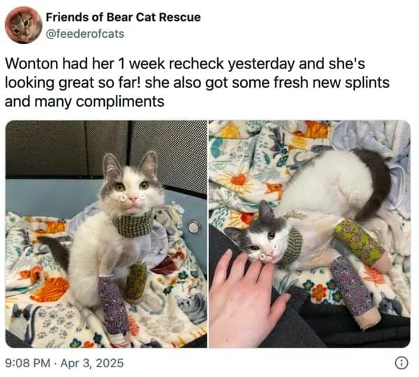 wholesome memes, heartwarming memes, uplifting memes, positivity memes, feel-good memes, encouraging images, good vibes, feel-good vibes, heartwarming posts, comforting humor, sunday scaries, weekend dread, back-to-work blues