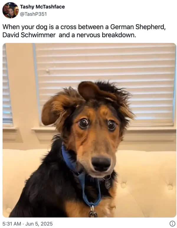 wholesome memes, heartwarming memes, uplifting memes, positivity memes, feel-good memes, encouraging images, good vibes, feel-good vibes, heartwarming posts, comforting humor, sunday scaries, weekend dread, back-to-work blues