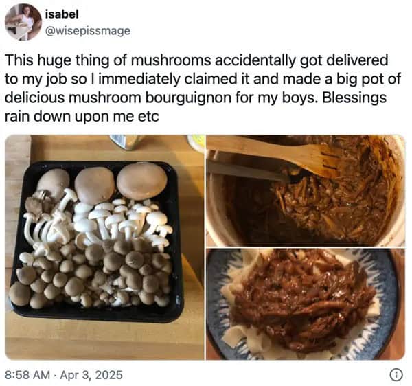 wholesome memes, heartwarming memes, uplifting memes, positivity memes, feel-good memes, encouraging images, good vibes, feel-good vibes, heartwarming posts, comforting humor, sunday scaries, weekend dread, back-to-work blues