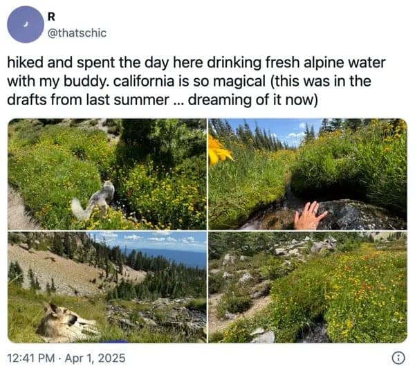 wholesome memes, heartwarming memes, uplifting memes, positivity memes, feel-good memes, encouraging images, good vibes, feel-good vibes, heartwarming posts, comforting humor, sunday scaries, weekend dread, back-to-work blues