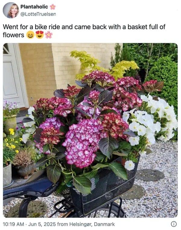 wholesome memes, heartwarming memes, uplifting memes, positivity memes, feel-good memes, encouraging images, good vibes, feel-good vibes, heartwarming posts, comforting humor, sunday scaries, weekend dread, back-to-work blues