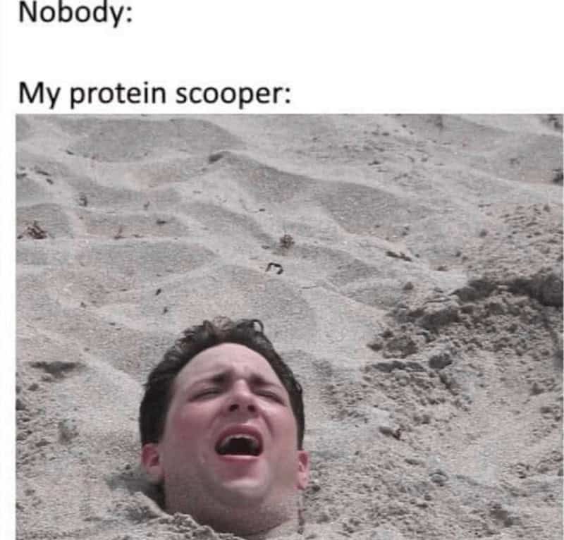 Nobody: My protein scooper:
