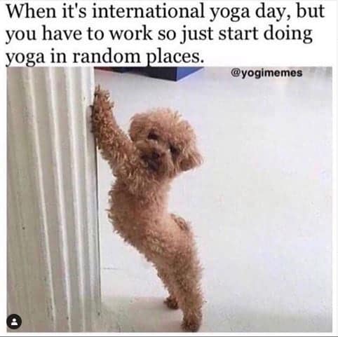 yoga memes, funny yoga memes, yoga poses, yoga humor, yoga fails, yoga pants, yoga enthusiasts, yoga class memes, yoga jokes, fitness memes, meme compilation