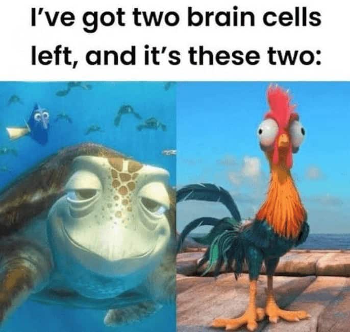 Split image of Crush the chill sea turtle from Finding Nemo and Heihei the clueless rooster from Moana under “two brain cells” caption.