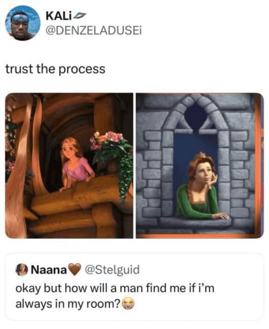 Tweet collage showing Rapunzel leaning from her tower window vs. a frumpier window scene with “trust the process” joke.