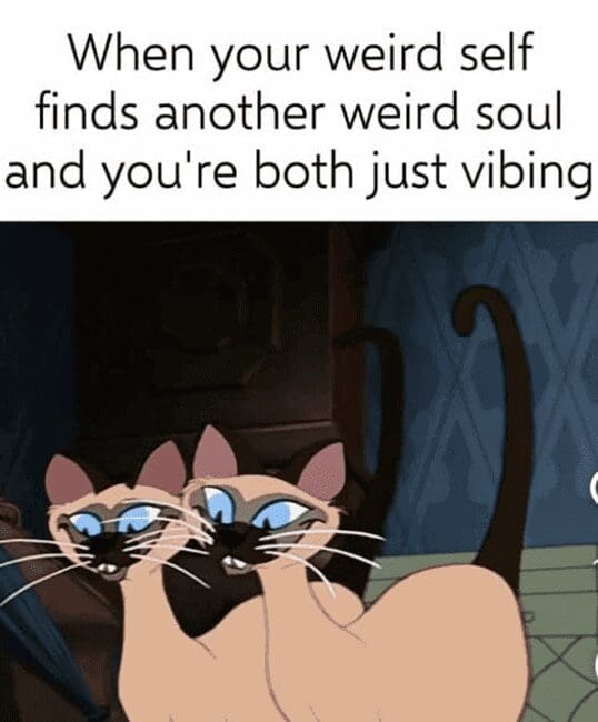 Two mischievous Siamese cats (Lady and the Tramp style) side-by-side with caption about weird souls vibing.