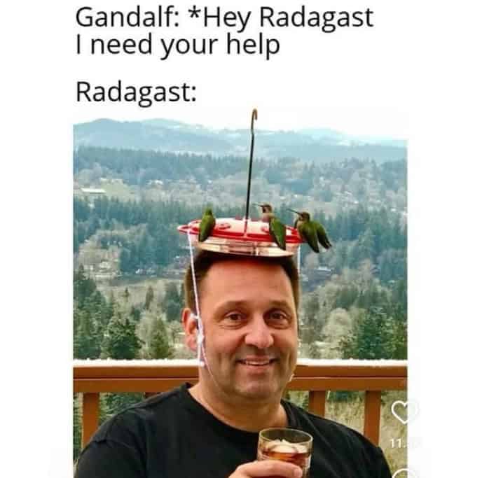 Smiling man sips a drink while a feeder hat lures hummingbirds to perch over his head like a tiny, chaotic aviary.