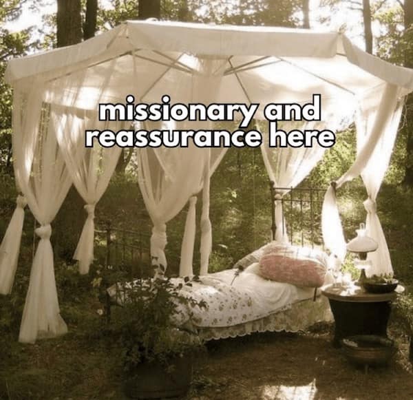 Meme of a cozy canopy bed in the woods with the text “missionary and reassurance here”