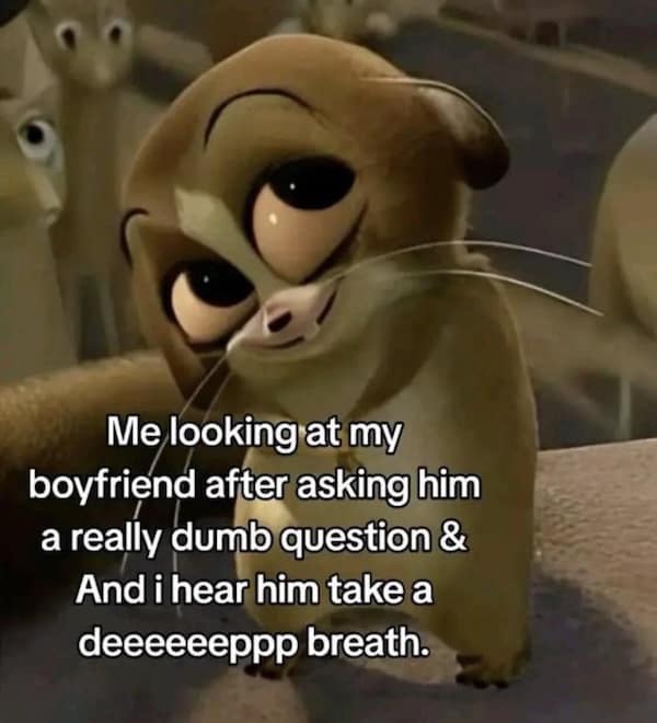 Meme of a wide-eyed animated animal with caption about asking a dumb question to a boyfriend
