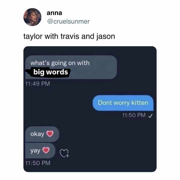 Text-chat parody about “big words,” a gentle rib that rounds out Taylor Swift new album memes