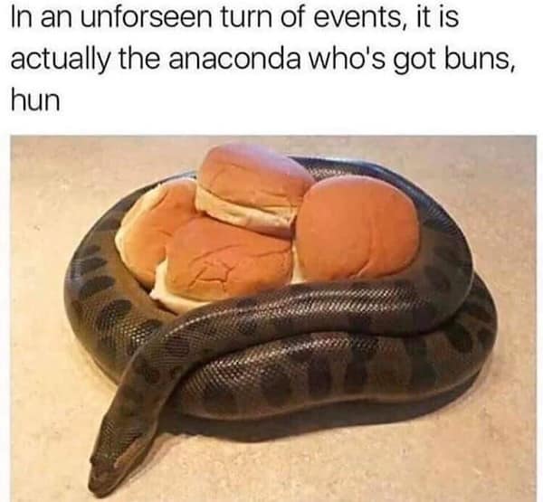 Anaconda curled around four hamburger buns with funny caption