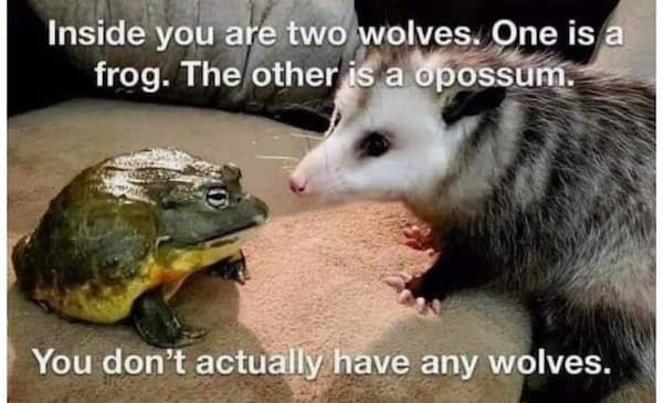 Frog and opossum sitting on a couch with introspective meme