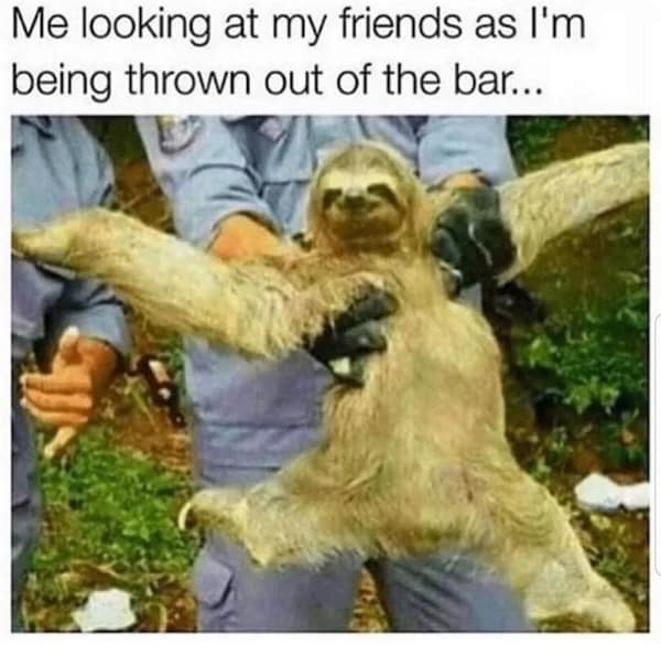 Sloth being carried away by people with bar meme caption