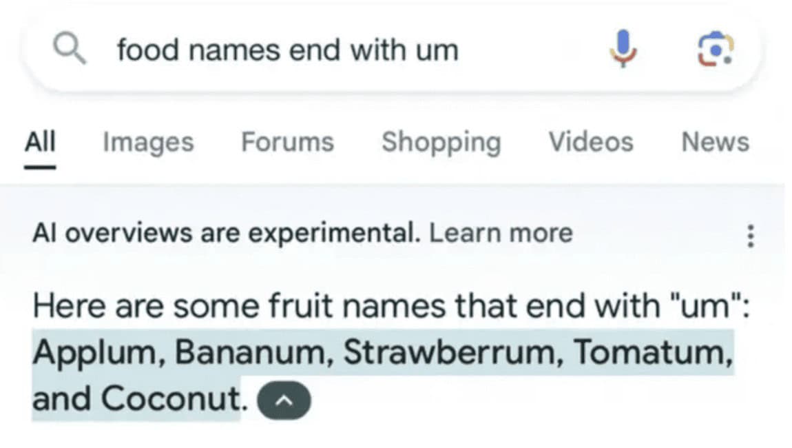 A Google AI fail where the AI invents funny food names ending in "um."